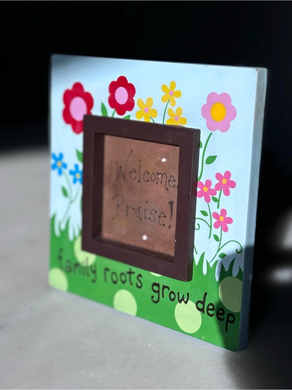 Hand Painted Picture Frame